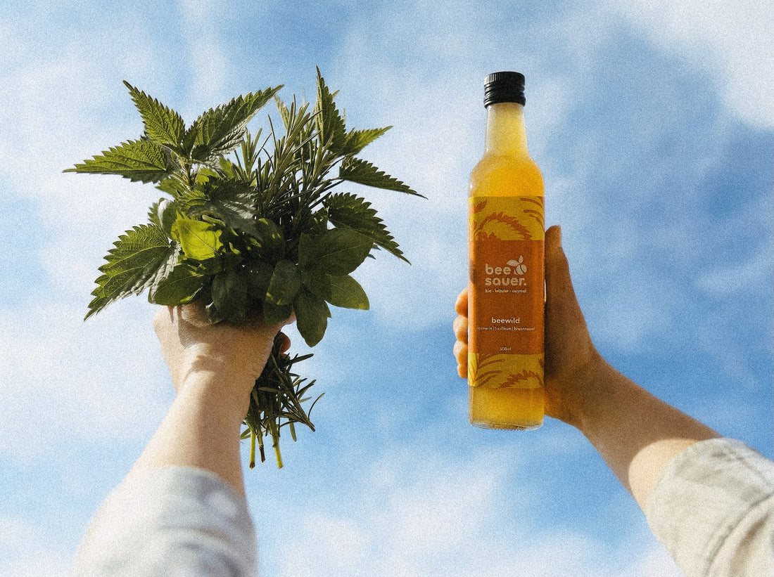 Ab jetzt wieder in unserem Garten: Die Brennnessel