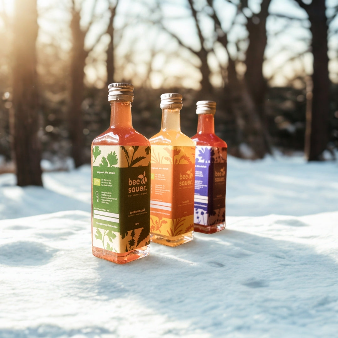 Festliche Probierbox