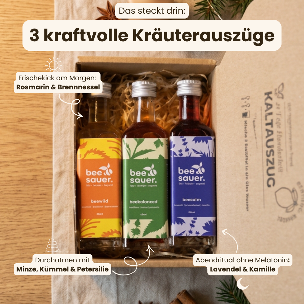 Weihnachtsbox