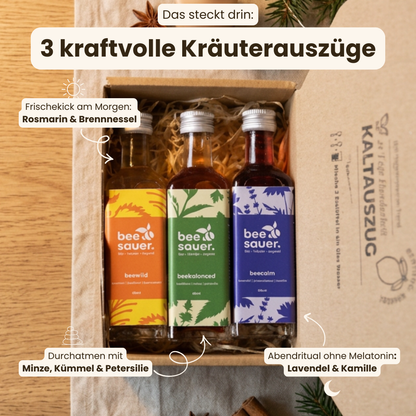 Weihnachtsbox