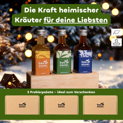 Festliche Probierbox (3x)