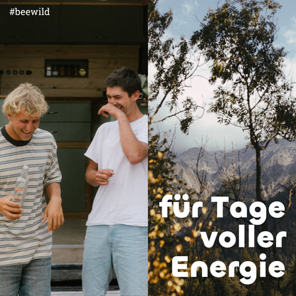 beesauer - Probierpaket