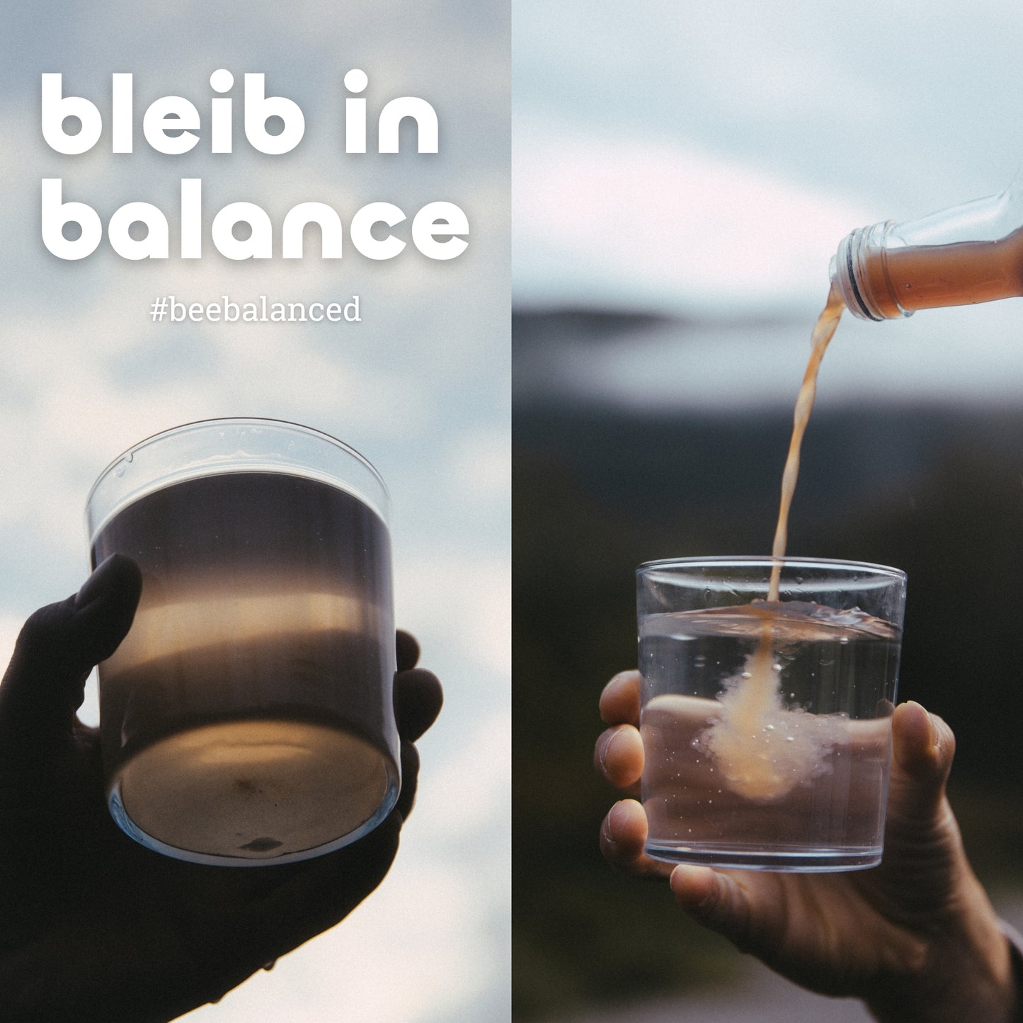 beesauer - Probierpaket