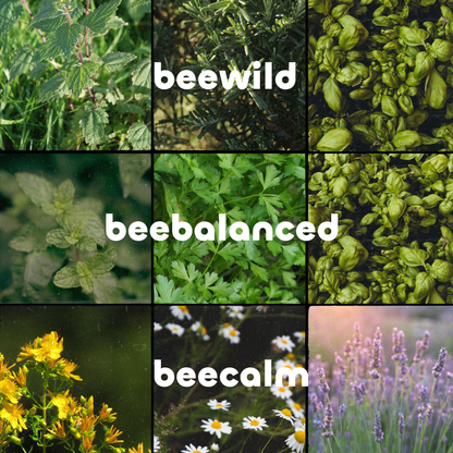 beesauer - Probierpaket
