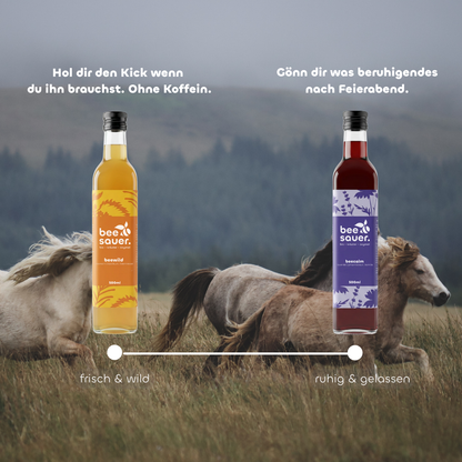 Feuerpferd Ritual 2026 (WILD & CALM)